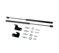 IPEVMLZ Para Mitsubishi Para Outlander 2022-2024 Accesorios Pistones Capó Delantero Amortiguadores Soportes Elevación Resortes Gas Reemplazo
