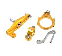 IPEVMLZ Para Yamaha MT09 SP 2021 2022 2023 2024 Kit De Montaje Soporte Estabilizador Amortiguador Dirección Ajustable Para Motocicleta(Model V)