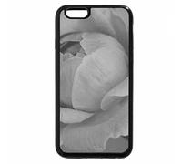 iPhone 6S Plus Case, iPhone 6 Plus Case (Black & White) - Pink rose
