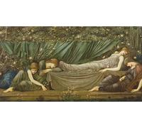 IPLUPJDY Lienzo Poster Clásicas Poster Cuadro Sobre Lienzo Ilustración de la bella durmiente de la leyenda de la rosa de brezo de Edward Burne Jones para Decoración de Paredes 60x90cm
