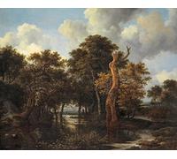 IPLUPJDY Lienzo Poster Clásicas Poster Cuadro Sobre Lienzo Pantano de madera con árbol muerto de Jacob Van Ruisdael para Decoración de Paredes 60x90cm