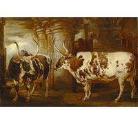 IPLUPJDY Pintura Mural Cuadro en Lienzo Lienzo Para Pared Retratos de dos bueyes extraordinarios propiedad del conde de Powis por un artista famoso para la Decoración del Hogar del Dormitorio 60x90cm