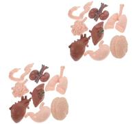 iplusmile 16 Piezas Modelo De Órgano Humano Juguete De Aprendizaje De Las Partes Del Cuerpo Modelo De Órganos Internos Humanos Maniquí De Niño Muestra Artificial 3d El Plastico
