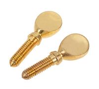 iplusmile 2piezas Tornillos de Abrazadera de Boquilla para Flauta Accesorios Musicales para Flauta Tornillos para Cabeza para Reparación de Instrumentos Musicales