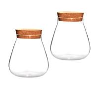 iplusmile Botella de Cristal Transparente Tapón de Corcho 2 Unidades para Micropaisajes y Cultivo de Plantas Recipiente Ecológico Decorativo para Hogar y Jardín Maceta Creativa Pequeña