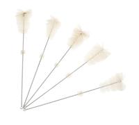 iplusmile Cepillo Limpiador de Tubos de Vidrio 5 Piezas para Frascos de Capacidad 100Ml Cerdas Largas Práctico para Limpieza de Tubos de Ensayo Laboratorio