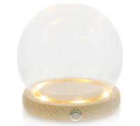 iplusmile Cúpula de Cristal Base de Madera Natural de 12 Cm, Cubierta para Flores Preservadas Luz Integrada y Interruptor de Cobre, Adorno Decorativo para Hogar y Exhibición Elegante