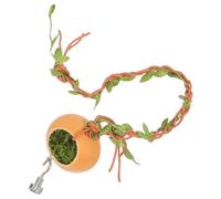 iplusmile Escondite para Arañas Saltarinas Caja de Cría Pequeña Plataforma de Escalada Refugio para Insectos Terrario para Arañas Tapete para Trepar Caja para Cría de Insectos