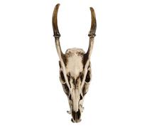 iplusmile Escultura de Cráneo de Cabra en Resina para Decoración de Halloween y Decoración de Mesa, Accesorio Decorativo Artesanal