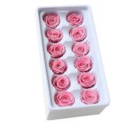 iplusmile Flores Preservadas para Boda 12 Piezas Rosas Inmortales 3-4 CM Cabezas Rosa Clara Decoración para Aniversarios y Bodas Accesorio DIY