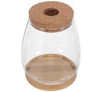 iplusmile Jarrón Hidropónico de Vidrio Grande 2 Piezas con Tapón de Corcho y Base de Bambú, Frascos para Propagación de Plantas Acuáticas, Macetas para Hidroponía en Escritorio y Decoración