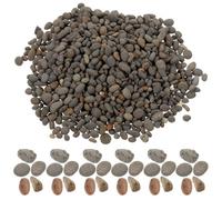 iplusmile Kit de Material de Roca en Miniatura para Dioramas 50g de Piedras Decorativas Naturales Adecuado para Decoración de Acuarios y Paisajismo en Jardines