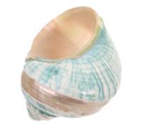 iplusmile Natural Mediterránea Decorativa Especimen Marina Real para Colección y Decoración Náutica de Mesa Ornamento Único para Acuarios y Exhibición Educativa