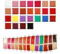 iplusmile Paleta Cosmética De Labios Con Colores Brillo Hidratante De Larga Duración De Maquillaje Para Mujeres y Chicas Herramienta De Belleza Versátil y Compacta