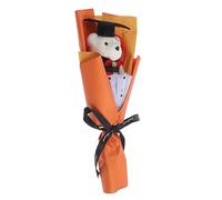 iplusmile Ramo de Oso de Peluche para Graduación Adorable Bouquet de Oso de Doctor con Decoraciones para Fiesta de Graduación para Celebraciones