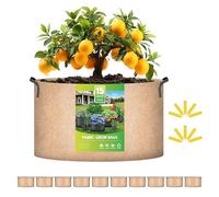 iPower Bolsas de Cultivo de 15 galones de Tela no Tejida, contenedor de aireación con Asas de Correa para jardín y plantación, Paquete de 10 Unidades, Color Tostado, 15 galones