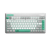 iQunix OG80 Teclado para juegos, teclado mecánico inalámbrico 2.4G con interruptor TTC Speed Silver