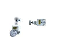 IR2000, IR2010, IR2020-02 IR2000, IR2010, IR2020-02BG YIYUN - Válvula reguladora de precisión IR serie IR2000 (IR2010-02BG)