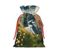 Ireland Outdoors County Clare The Cliffs - Bolsa de Navidad con cierre de cordón, 4.7 x 6.9 pulgadas para envolver regalos de cumpleaños