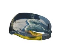 Ireland Outdoors County Clare The Cliffs - Diademas deportivas para hombres y mujeres, banda deportiva para tenis, baloncesto, correr, gimnasio