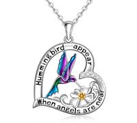 Iringnier Collar de colibrí para mujer, plata de ley 925, colgante de colibrí, regalo conmemorativo del Día de la Madre, Navidad, cumpleaños, 0.90 inch x 0.94 inch, Plata esterlina, plata de ley