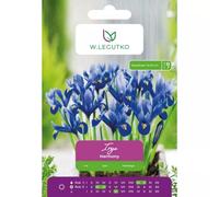 Iris Harmony, 7 unidades