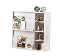 Iris Ohyama, Mueble de almacenaje con 4 estantes y 2 Puertas Plegables/Armario de Madera/Estante Plegable, Diseño,Modular, Oficina, Casa Biblioteca - Flap Rack - FR-F2 - Roble Blanco