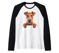 Irish Terrier Divertido Peeking Pocket Daredevil Dog Lover Camiseta Manga Raglan