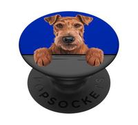 Irish Terrier Divertido Peeking Pocket Daredevil Dog Lover PopSockets PopGrip Adhesivo