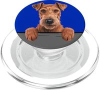 Irish Terrier Divertido Peeking Pocket Daredevil Dog Lover PopSockets PopGrip para MagSafe