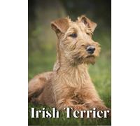 Irish Terrier: Dog breed overview and guide