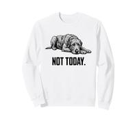 Irish Wolfhound Not Today Dog Lover Sudadera
