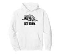 Irish Wolfhound Not Today Dog Lover Sudadera con Capucha