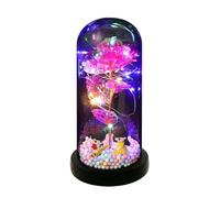 Irishom Regalos de Flores de Rosas para Mujer Rosa iluminada en cúpula de acrílico Regalos para mamá Flor eterna Colorida Rosa para Siempre Regalos para su Aniversario/Navidad/Día de San Valentín