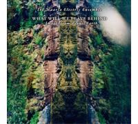 Irlo Haarla Electric Ens What Will We Leave Behind: Images from Planet (Vinyl)