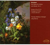 Irnberger – Obras para violín y piano Vol.2 – CD – NAXOS