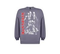 Iron Maiden Sudadera 'Iron maiden Iron maiden Number Of The Beast Hand Sweatshirt Sweatshirt' gris S EUR