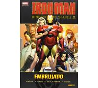 Iron man. Director de Shield 02: Embrujado