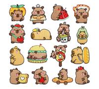 Iron On Embroidery Patches, 16 Pieces Capybara Aesthetic Badges, Iron-On Repair Stickers for Handmade Crafts Backpack Jacket Hat Decoration for Men Women Fashion Clothing