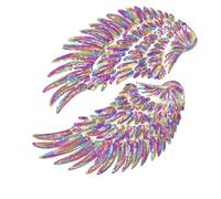 Iron On Parches, Wing Embroidery Repair Applique, Jeans Applique, Sturdy Fabric Sew-On, Easy Apply Design, for Jacket Hat Jeans Shirt Hoodie Shoe Dress Handicraft DIY