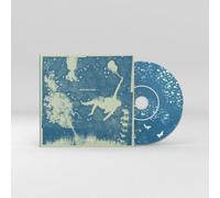 Iron & Wine - Light Verse