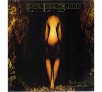 Irony of Fate [Vinilo]