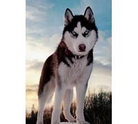 Irregular Arte Rompecabezas - Huskys Dogs Posters - Juguete Divertido para Personas Mayores - Juego Educativo Familiar para La Memoria - Rompecabezas 1000 Piezas Gifts - Kw184Zk