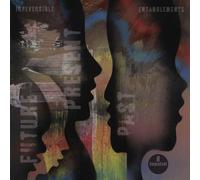 Irreversible Entanglements – Future Present Past – Vinilo – Verve Spa