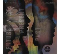 Irreversible Entanglements – Future Present Past – Vinilo – Verve Spa
