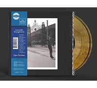 IRREVERSIBLE ENTANGLEMENTS - OPEN THE GATES (INDIES EXCLUSIVE) [Vinilo]