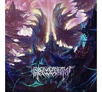 Irreversible mechanism - Immersion [Vinilo]