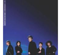 Irreversible - Vinilo