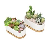 Irunfast 2 macetas de cerámica blanca para suculentas, maceta de cactus con bandeja de bambú, macetas de cactus para interiores y exteriores, macetas pequeñas ovaladas para decoración de oficina,