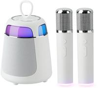 Iruyee Mini máquina de karaoke, altavoz Bluetooth portátil con 2 micrófonos inalámbricos para adultos y niños, micrófono de karaoke con sistema PA compatible con USB/Tf/Aux para fiestas en casa
